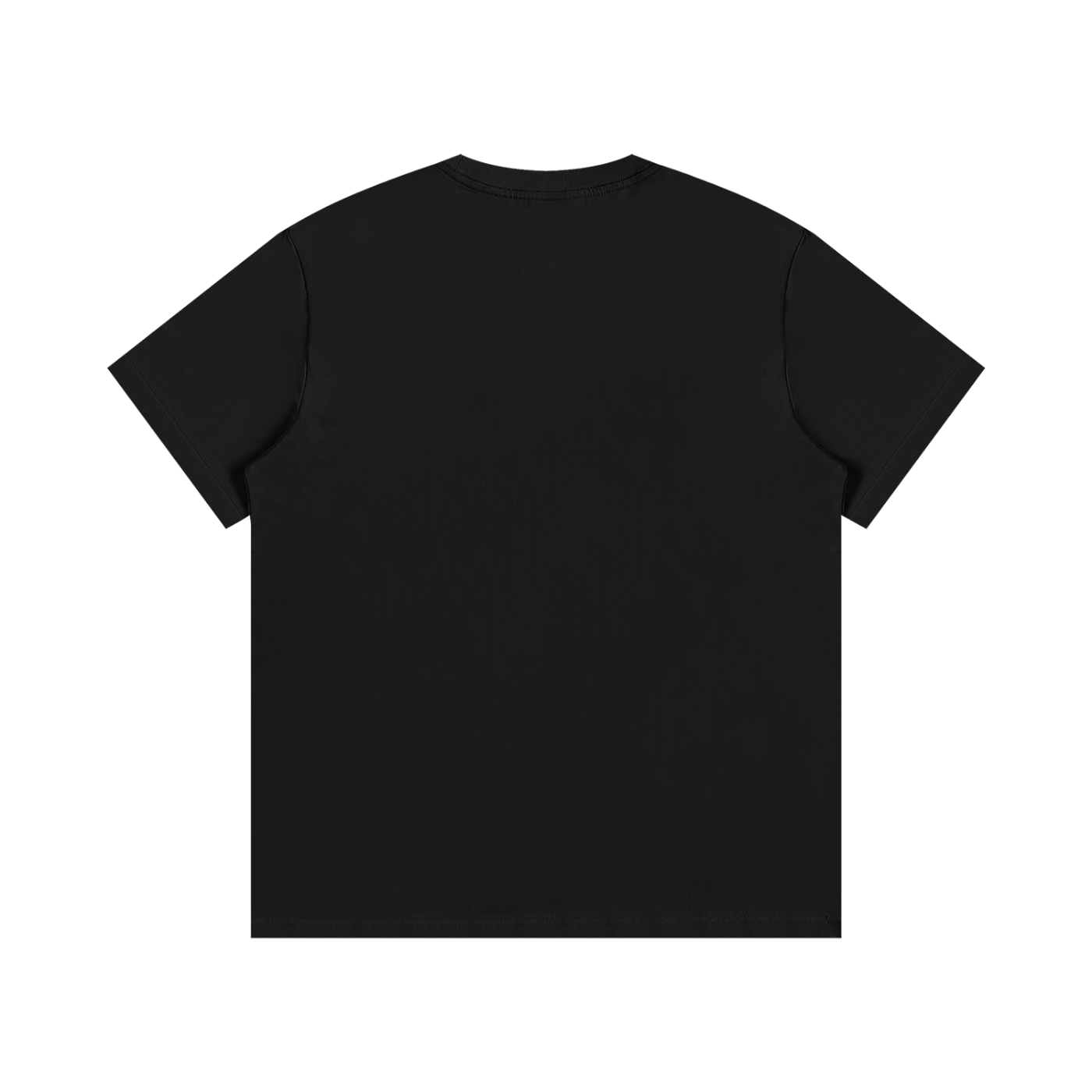 314 Roman Numerals T-Shirt